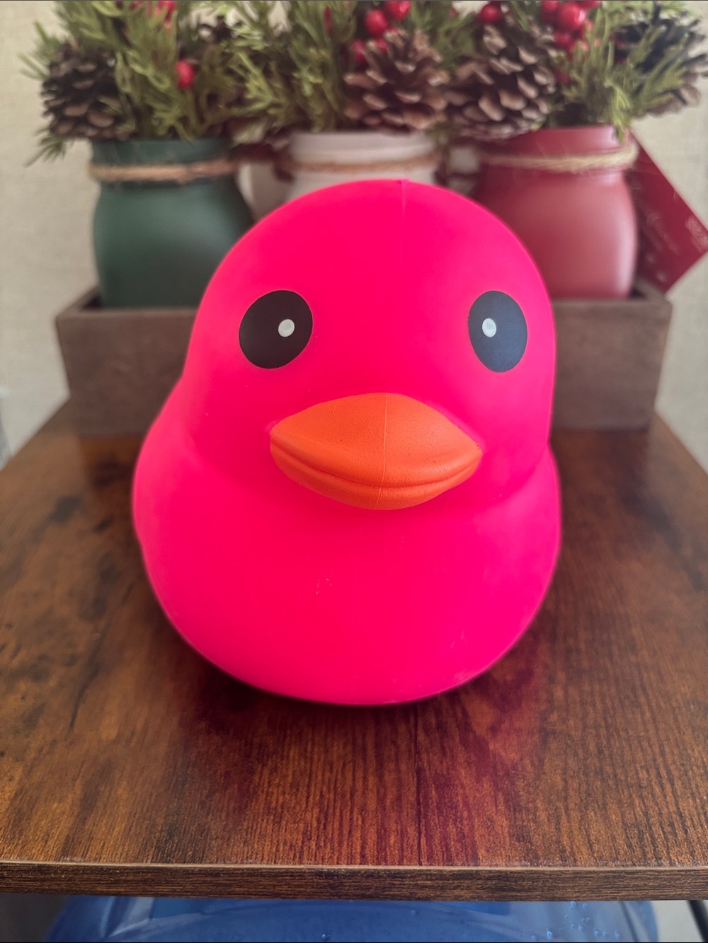 Laffy Quacks Squishy
